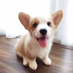 DONNA - @donnamayor.90 - Instagram