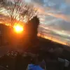 Donna Mazzone - @donna.mazzone - TikTok