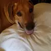 Donna T Mazzone - @donna.t.mazzone - TikTok