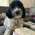 Donna McCain - @mccaindm35 - Instagram