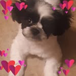 Donna Mccain - @mccain4556 - Instagram