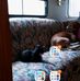 Donna McCauley - Facebook