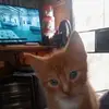 Donna McCauley - @donna.mccauley - TikTok