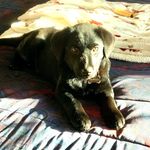 Donna Mosler McCauley - @donnajmc106 - Instagram