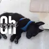 donnamcclain755 - @donnamcclain755 - TikTok
