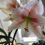 Donna McClellan - @mcclellan44 - Instagram