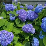 Donna McClellan - @mcclellan9855 - Instagram