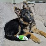Donna McCluskey - @donna.mccluskey.10 - Instagram