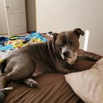 Donna Mccraney - @mccraneydonna017 - Instagram