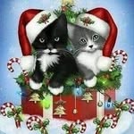 Donna McCray Burton - @donnaburton8265 - Instagram