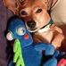 Donna M McCune - Facebook