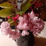 Donna McCurdy Gribble - @mccurdygribble - Instagram