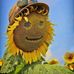 Donna McDade - Facebook