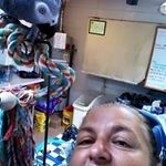 Donna McDowell - @mcdowell9097 - Instagram