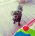 Donna Mcdowell - Facebook