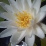 donna mcdowell - @dlmcdowell5 - Instagram