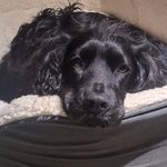 Donna McDowell - @donna_e_mcdowell - Instagram