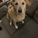 Donna McElhinney Gertridge - @donnagertridge - Instagram