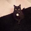 donnamcelrath978 - @donnamcelrath978 - TikTok