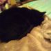 Donna Mcelroy - Facebook
