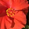 Donna McElroy - @donna.mcelroy6 - TikTok