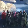 Donna McEvoy - @donna.mcevoy - TikTok