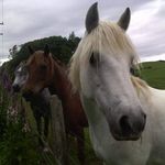 Donna McEwan - @mcewan626 - Instagram