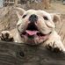 Donna McFall - Facebook