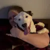 donna maxfield - @donna.maxfield - TikTok