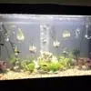 Donna Mcgovern - @donna.mcgovern93 - TikTok