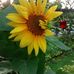 Donna McGowan - Facebook