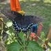 Donna Mcgowan - Facebook