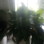 Donna McGrew - @mcgrewdonna3 - Instagram