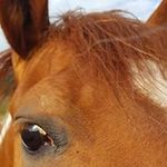 Donna McGrew - @dlmcgrew - Instagram