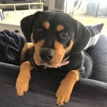 Donna McGroarty - @donnamcgroarty - Instagram