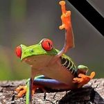 Donna Mchenry - @well2beme - Instagram