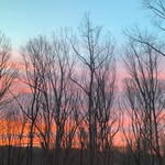 Donna McKay - @tennessee_whiskey_bleau - Instagram