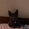 Donna Mckay - @donna.mckay5 - TikTok