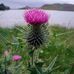 Darby McKeever - Facebook