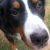 Donna McKeever Blanchard - Facebook