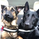 Donna Meck McKeever - @kiss.noise.handmade - Instagram