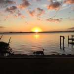 Donna McMaster - @dnmcmaster - Instagram