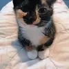 donnamcmaster21 - @donnamcmaster21 - TikTok