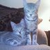 Donna Mcnelly - Facebook