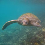 Donna McSherry - @galapagosholidays - Instagram