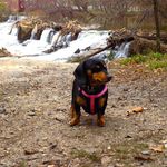 Donna McSwain - @donna_mcswain49 - Instagram