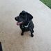 Donna McSwain - Facebook