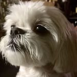 Donna McSwain - @mcswain5381 - Instagram