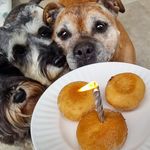Donna McVay - @donsymc - Instagram