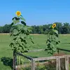 Donna McVay - @donna.mcvay - TikTok